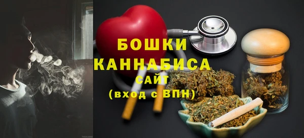 молекула духа Бронницы