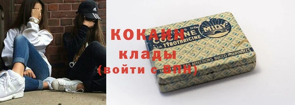 молекула духа Бронницы