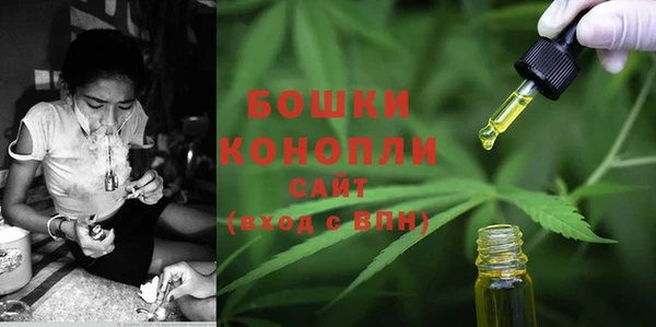 молекула духа Бронницы