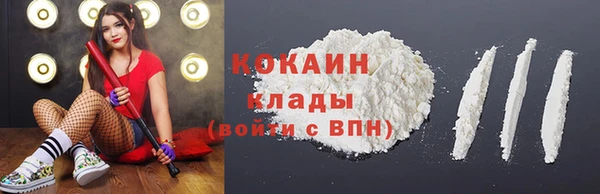 молекула духа Бронницы
