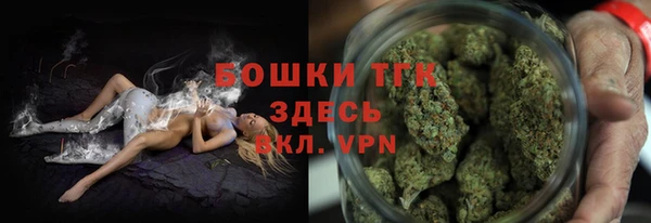 молекула духа Бронницы