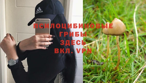 MDMA Premium VHQ Бородино