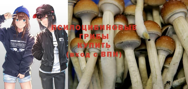 прущая мука Снежногорск