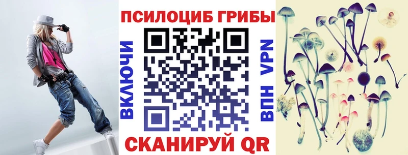 цены   Выборг  Псилоцибиновые грибы Psilocybine cubensis 