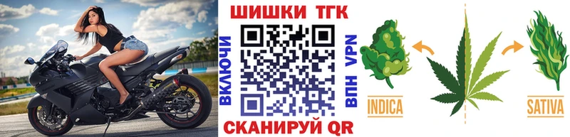 Шишки марихуана семена  MEGA ССЫЛКА  Выборг 